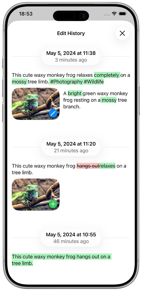Edit history with inline diff highlighting