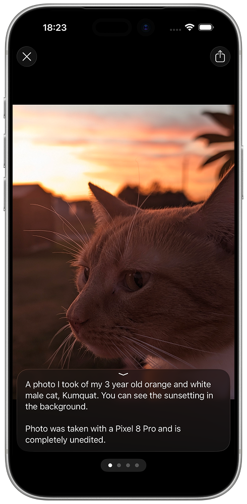 Media viewer with full-screen photo and alt-text support